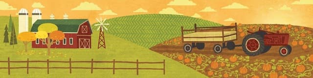 Közös Lábos - Szimplakerti pályázat támogatásgyűjtő főzésre
