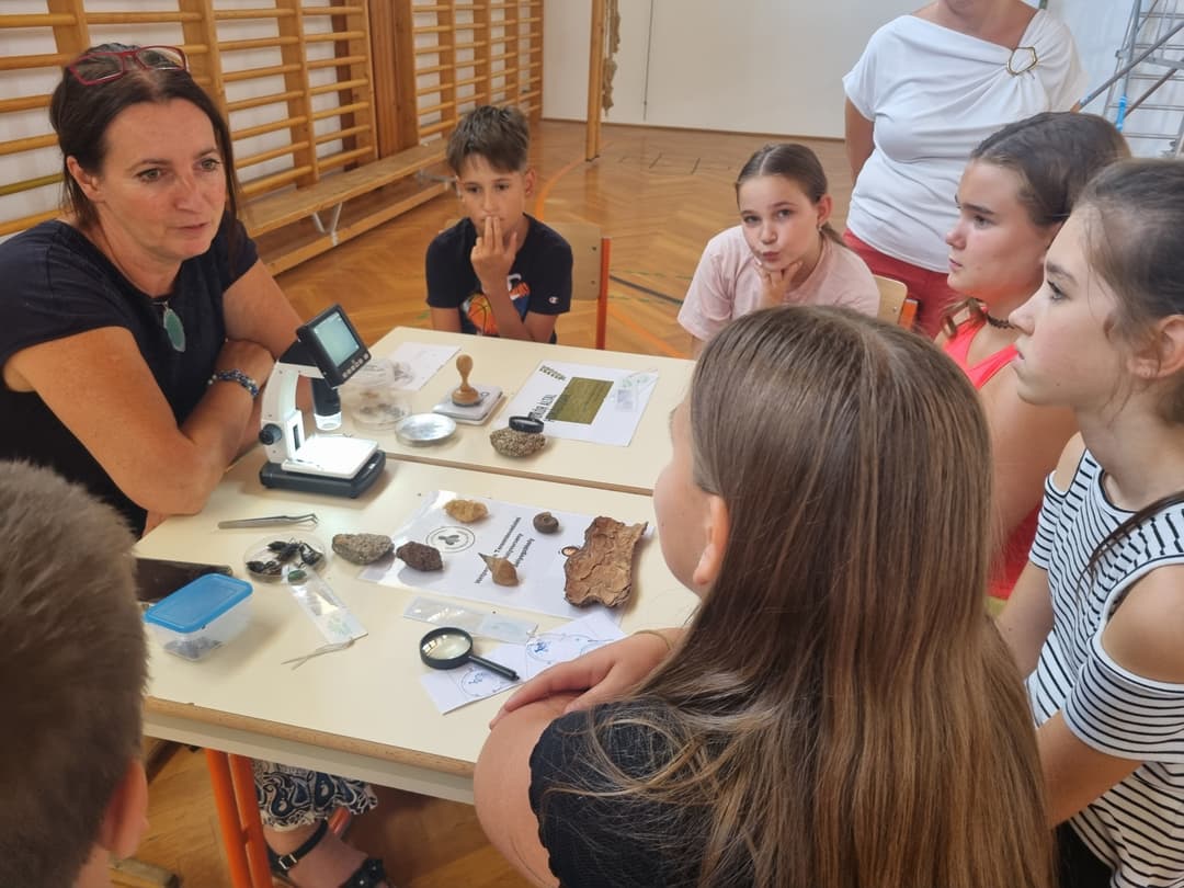 Nagykőrösi teremtésvédelmi csendesnap - 2026.