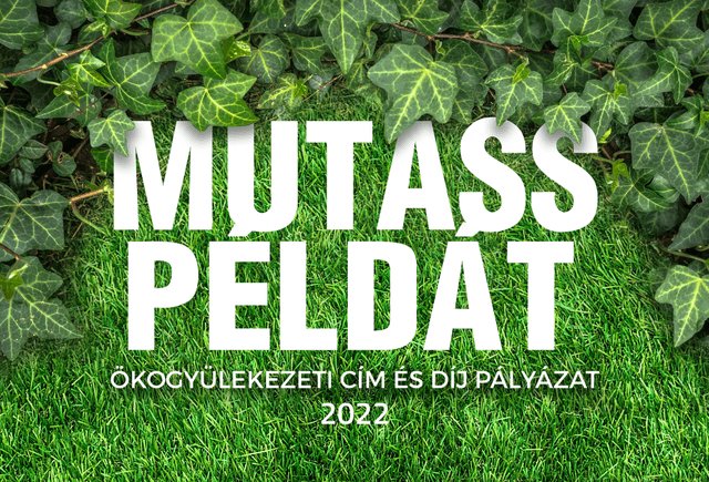 Mutass példát!