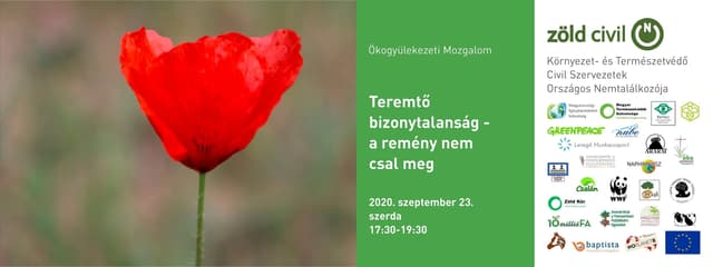 Teremtő bizonytalanság
