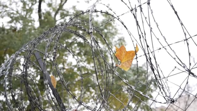 Építkezés a csalódás és félelem után