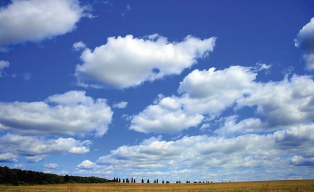 A rózsa nevei