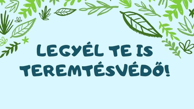 Legyél te is Teremtésvédő a hitoktatás évében!