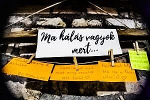 A 2018-as év termése