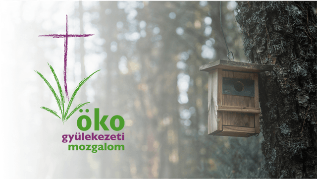 Teremtésvédelmi programok a Föld napjára