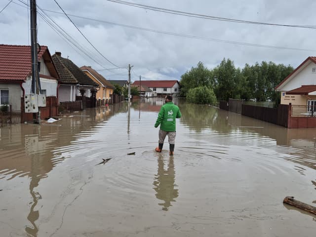 Élő víz
