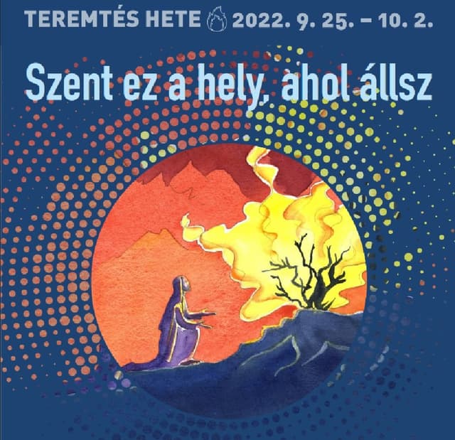 A teremtett világ csodái a városban